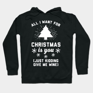 All i want is Christmas Wine Hoodie